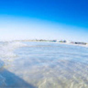 Meet your Posher, Annie